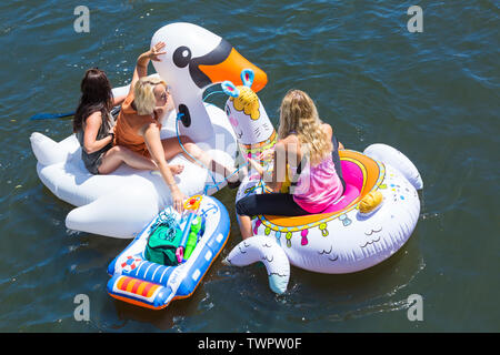 Iford, Dorset, Großbritannien. Am 22. Juni 2019. Perfektes Wetter, warm und sonnig, noch für Dorset Beiboot Tag mit Hunderten von Schlauchboote, Faltboote, Handwerk, Platten bilden eine Flottille Segeln von iford Brücke, den Fluss Stour zu Tuckton Brücke. Die Veranstaltung begann im Jahr 2014 als ein wenig Spaß, aber hat jetzt eine jährliche Veranstaltung Geld für Nächstenliebe und Getter jedes Jahr größer geworden. Freunde Spaß auf aufblasbaren Swan und aufblasbare Llama. Credit: Carolyn Jenkins/Alamy leben Nachrichten Stockfoto