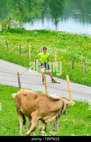 CC-Skifahrer während einer Trainingseinheit im Sommer Stockfoto