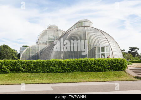 Seitenansicht des berühmten Palmenhaus in Kew Gardens, Richmond, London. Stockfoto