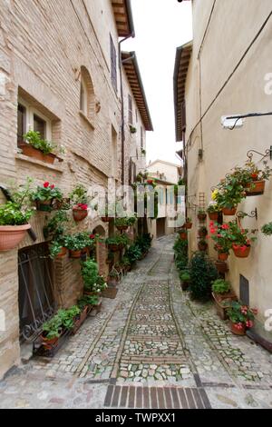 Spello Stockfoto