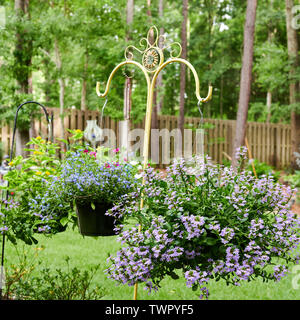 Hängenden Blumenkörben in einem Haus Garten mit verschiedenen blühenden Pflanzen. Stockfoto