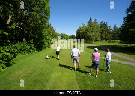 Zu viert Abzweigen auf einer kanadischen Golf Course. Stockfoto