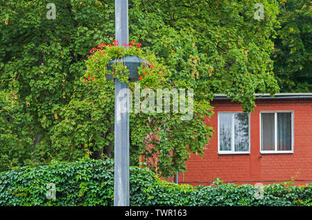 Korb mit Blumen hängend an einem Laternenpfahl vor dem Hintergrund der üppig grünen Vegetation und eine kleine Ziegel Cottage Stockfoto