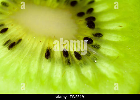 ASHTON-U-LYNE, GROSSBRITANNIEN. Februar 2015, 23. Ein Stück Kiwifruit (auch bekannt als chinesische Stachelbeere). Foto © Matthew Lofthouse - Freelance Photographer Stockfoto