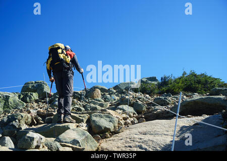 Wanderer klettern Richtung Mount Lafayette in der Fränkischen Ridge Trail, New Hampshire, USA. Stockfoto