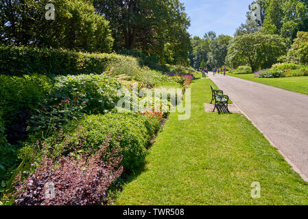 Bute Park, Cardiff, South Wales Stockfoto