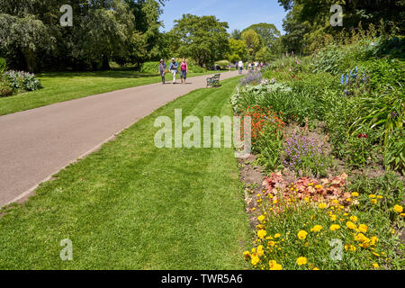 Bute Park, Cardiff, South Wales Stockfoto