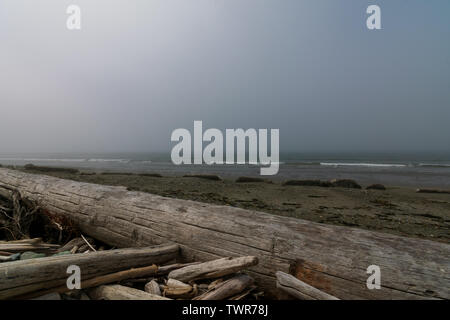 Whidbey Island Beach im Nebel Stockfoto