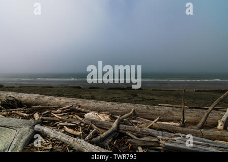 Whidbey Island Beach im Nebel Stockfoto