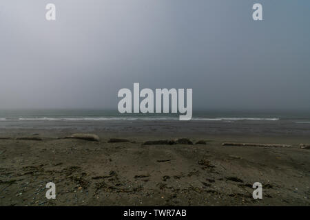 Whidbey Island Beach im Nebel Stockfoto