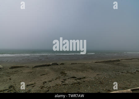 Whidbey Island Beach im Nebel Stockfoto