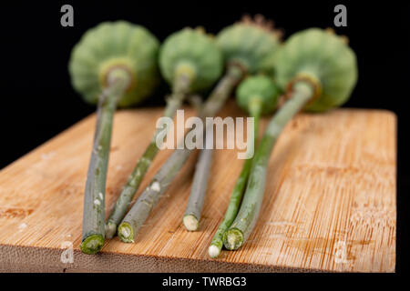 Stamm der Mohn auf eine Küche. Weiße Flüssigkeit aus der poppy Werk fließen. Der dunkle Hintergrund. Stockfoto