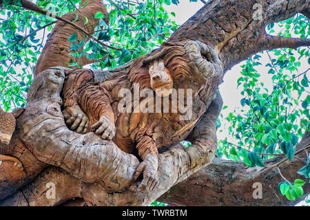 ORLANDO, Florida, USA. Mai 03, 2019: Schnitzereien an den Baum des Lebens in Disney's Animal Kingdom Stockfoto