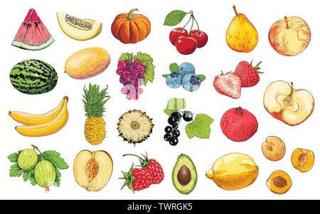 Satz von Obst und Gemüse in Farbe, auf weißem Hintergrund. Handgezeichneten Elementen. Vector Illustration Stock Vektor