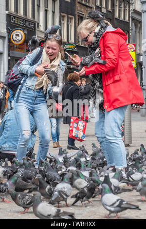 Füttern tauben Land auf tausendjährigen Touristen in Dam Square Amsterdam Niederlande - Tauben auf Menschen - Tauben fliegen in der Nähe von Menschen Stockfoto