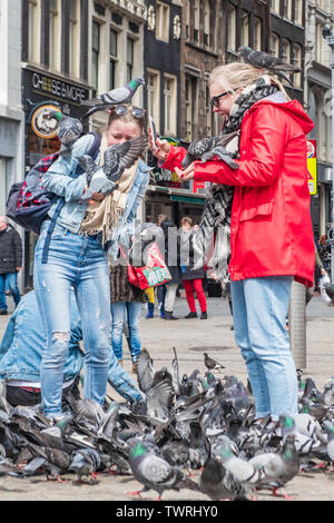 Füttern tauben Land auf tausendjährigen Touristen in Dam Square Amsterdam Niederlande - Tauben auf Menschen - Tauben fliegen in der Nähe von Menschen Stockfoto