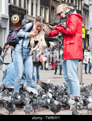 Füttern tauben Land auf tausendjährigen Touristen in Dam Square Amsterdam Niederlande - Tauben auf Menschen - Tauben fliegen in der Nähe von Menschen Stockfoto