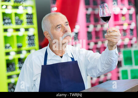 Junior Sommelier Inspektion Wein im Glas Stockfoto