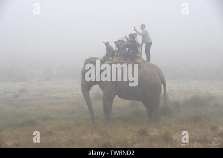 Touristen, Guide, und mahout auf Elephant Safari an einem nebligen Morgen im Chitwan Nationalpark, Nepal Stockfoto