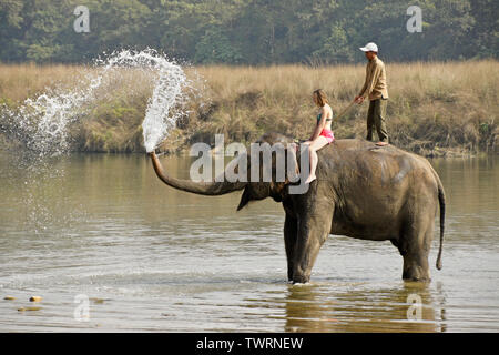 Weibliche Touristen- und mahout auf Asiatischen Elefanten sprühen Wasser in Rapti River, Chitwan Nationalpark Nepal Stockfoto