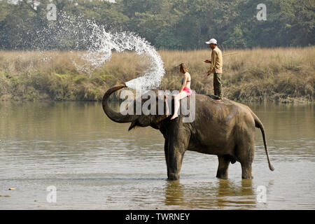 Weibliche Touristen- und mahout auf Asiatischen Elefanten sprühen Wasser in Rapti River, Chitwan Nationalpark Nepal Stockfoto