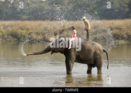 Weibliche Touristen- und mahout auf Asiatischen Elefanten sprühen Wasser in Rapti River, Chitwan Nationalpark Nepal Stockfoto