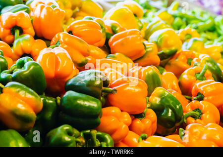 Capsicum annuum, allgemein Pfeffer, Chili, Pfeffer oder morrón, unter einer Vielzahl von Localisms, ist die am meisten bekannte, weit verbreitete und kultivierten Arten von Th Stockfoto