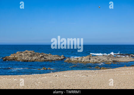 Küste und Strand von Porto Stadt Ende Mai, Portugal Stockfoto