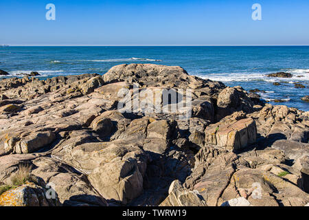 Stein Küste in der Nähe von Porto Stadt Ende Mai, Portugal Stockfoto