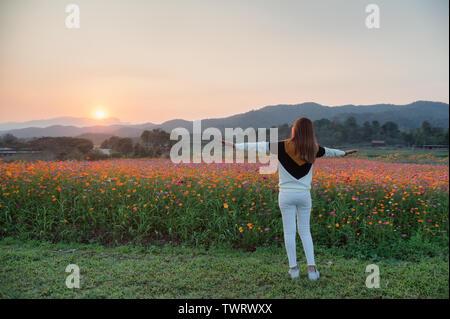 Junge Frau fröhlich mit Glück im Kosmos Feld bei Sonnenuntergang Stockfoto