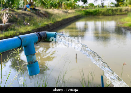 Landwirtschaft blaue Leitung, die mit dem Grundwasser in Teich strömte Stockfoto