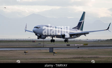 Richmond, British Columbia, Kanada. 17 Juni, 2019. Ein WestJet Airlines Boeing 737-800 (C-GWUX) single-aisle Jetliners landet auf Vancouver International Airport. Credit: bayne Stanley/ZUMA Draht/Alamy leben Nachrichten Stockfoto