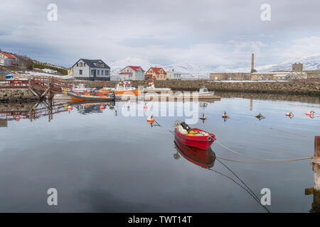 Ein Boot vertäut im Hafen Hjalteyri, Island Stockfoto