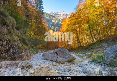 Blick auf den slowenischen Alpen von einem trockenen Flussbett in den Wald. Herbstfarben, Laub im Oktober. Ruhigen Wanderweg in der Saison ändern. Stockfoto
