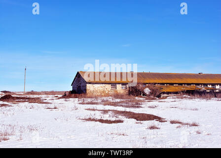 Krim coquina rock Bausteine Farm, chemische Verwitterung Rasenfläche bedeckt mit Schnee, blauer Himmel Hintergrund Stockfoto