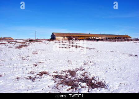 Krim coquina rock Bausteine Farm, chemische Verwitterung Rasenfläche bedeckt mit Schnee, blauer Himmel Hintergrund Stockfoto