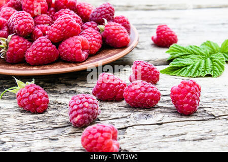 Roten Himbeeren auf einer Schüssel auf dem Hintergrund der alten boards Reif. Selektive konzentrieren. Close-up. Stockfoto