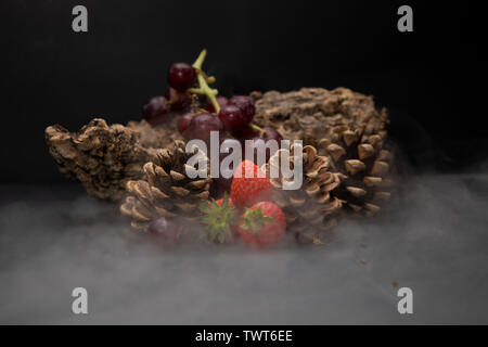 Anmelden und Tannenzapfen in einem Nebel Stockfoto