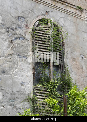 Detail einer alten, verlassenen Villa: Fenster mit Fensterläden aus Holz, die von Vegetation umgeben Stockfoto