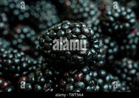 Nahaufnahme von frischen Brombeeren Stockfoto