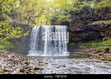 Die Afon Hepste Kaskaden über Sgwd yr Eira Wasserfall an der vier Wasserfälle in den Brecon Beacons National Park, Powys, Wales, Großbritannien Stockfoto