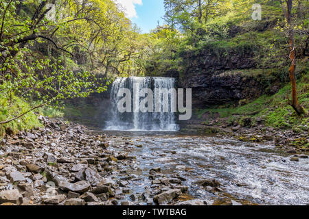 Die Afon Hepste Kaskaden über Sgwd yr Eira Wasserfall an der vier Wasserfälle in den Brecon Beacons National Park, Powys, Wales, Großbritannien Stockfoto