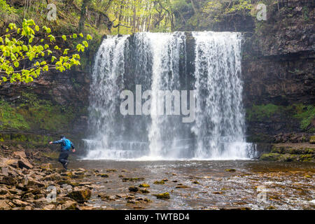 Die Afon Hepste Kaskaden über Sgwd yr Eira Wasserfall an der vier Wasserfälle in den Brecon Beacons National Park, Powys, Wales, Großbritannien Stockfoto