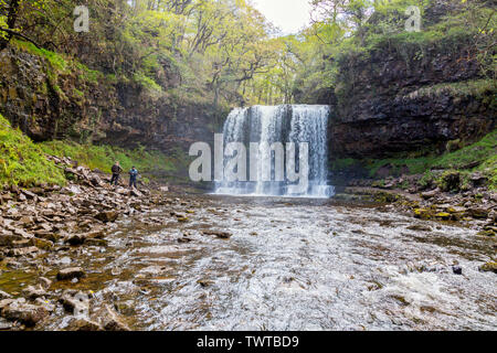 Die Afon Hepste Kaskaden über Sgwd yr Eira Wasserfall an der vier Wasserfälle in den Brecon Beacons National Park, Powys, Wales, Großbritannien Stockfoto