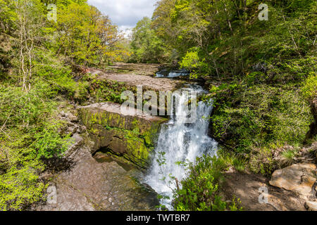 Die Afon Mellte Kaskaden über Sgwd Clun - gwyn Wasserfall an der vier Wasserfälle in den Brecon Beacons National Park, Powys, Wales, UK Spaziergang Stockfoto