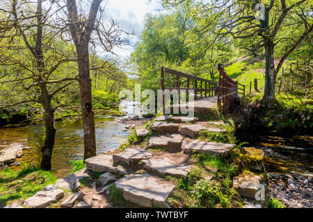 Fußgängerbrücke über die Afon Mellte auf der vier Wasserfälle in den Brecon Beacons National Park, Powys, Wales, Großbritannien Stockfoto