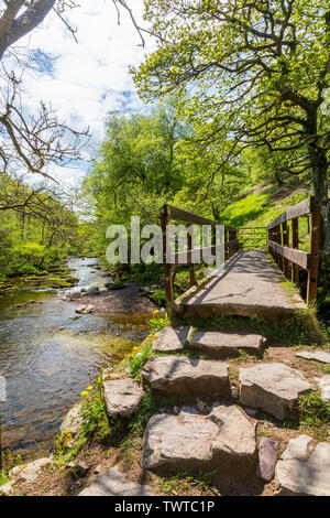 Fußgängerbrücke über die Afon Mellte auf der vier Wasserfälle in den Brecon Beacons National Park, Powys, Wales, Großbritannien Stockfoto