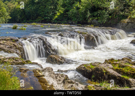 Cenarth Falls Carmarthenshire West Wales - an der Grenze zwischen Cardiganshire, Carmarthenshire und Pembrokeshire. Stockfoto