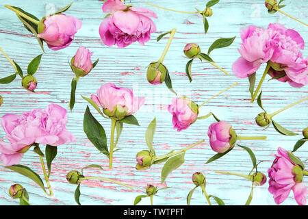 Rosa Pfingstrosen auf Blau Holz- Hintergrund Stockfoto