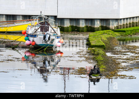 Castletown, Insel Man, 16. Juni 2019. Castletown Hafen Stockfoto